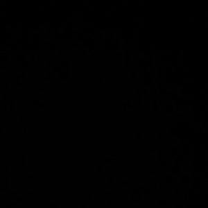 Meet your Posher, Gisselle